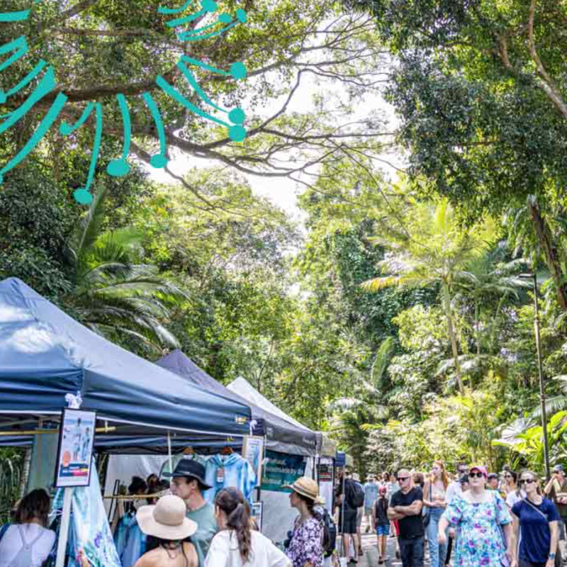 Sunday 07 Sept –&nbsp;Tanks